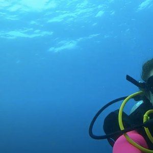 Meet your Posher, Sasha